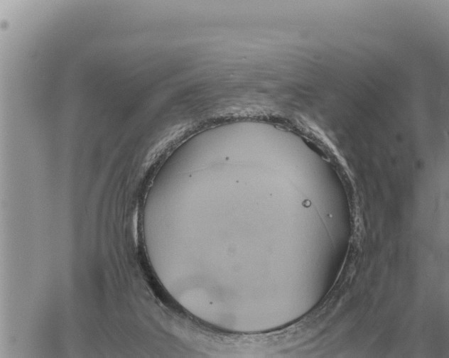 X0000061110019200512091829