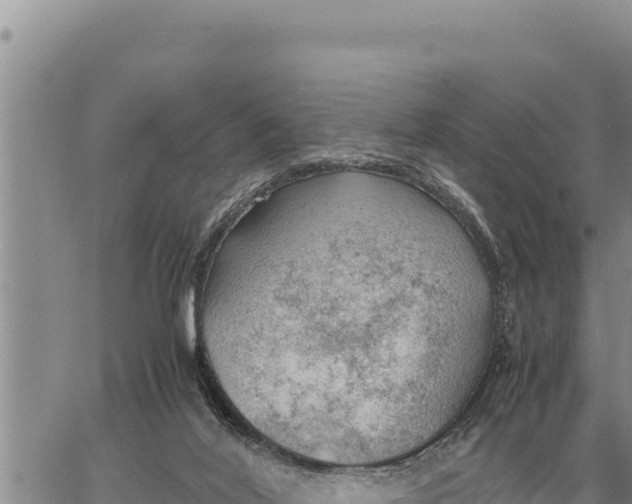 X0000061110020200512091829