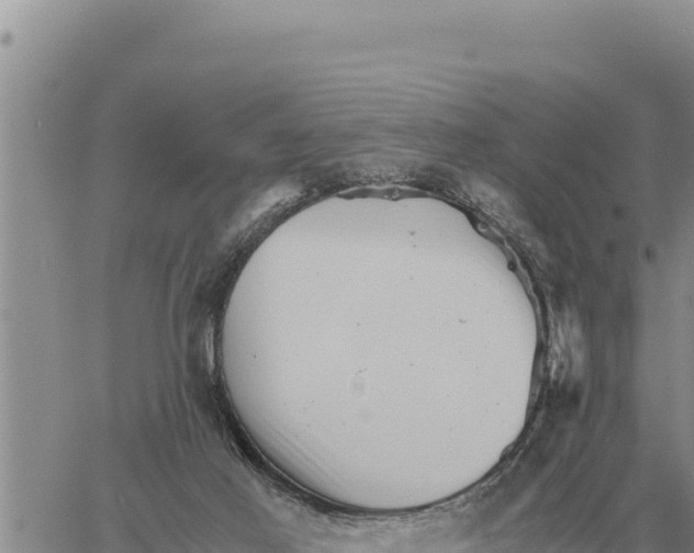 X0000061110021200512091829