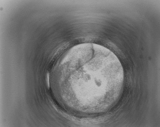 X0000061110022200512091828