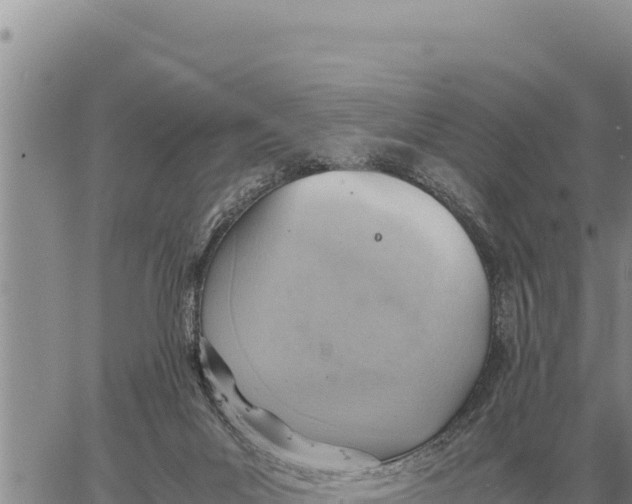 X0000061110023200512091828