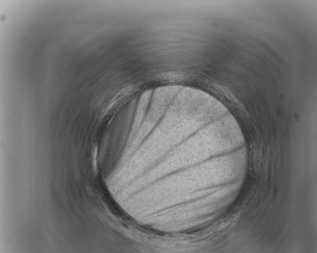 X0000061110024200512091828