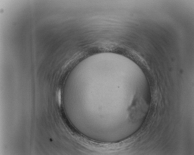 X0000061110027200512091828