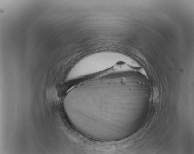 X0000061110029200512091828