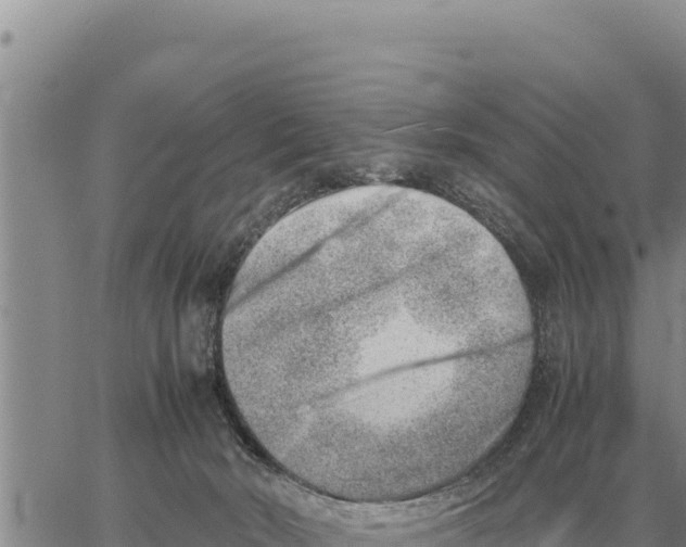 X0000061110030200512091828