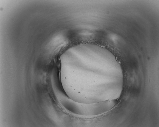 X0000061110033200512091828