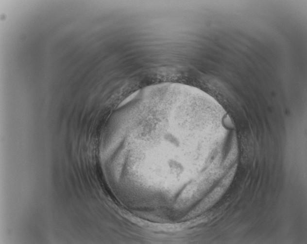 X0000061110034200512091828