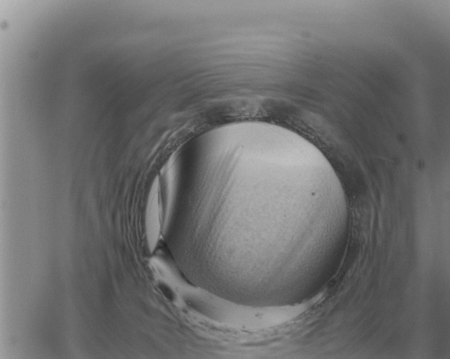 X0000061110035200512091828