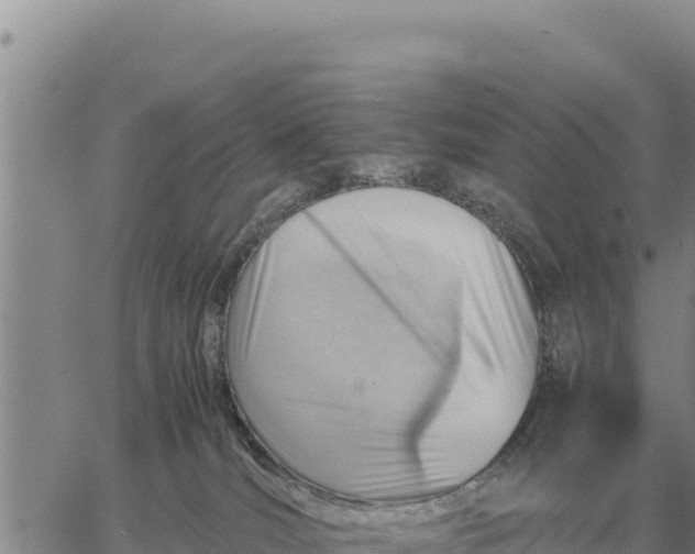 X0000061110036200512091828