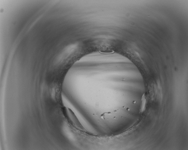 X0000061110037200512091828