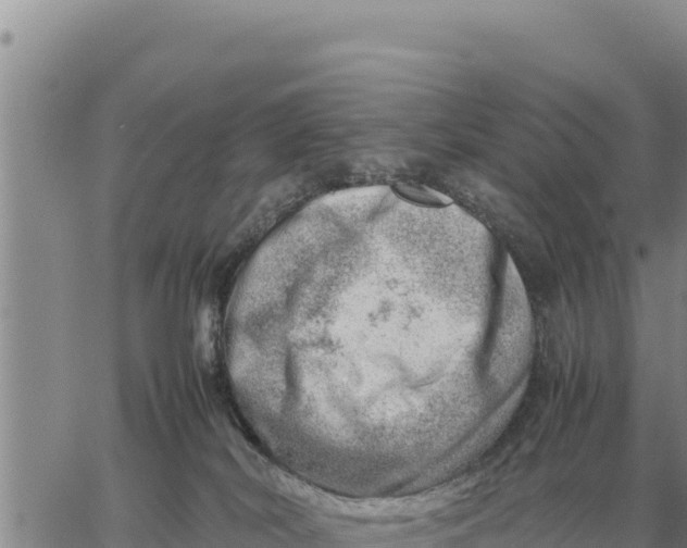 X0000061110038200512091828