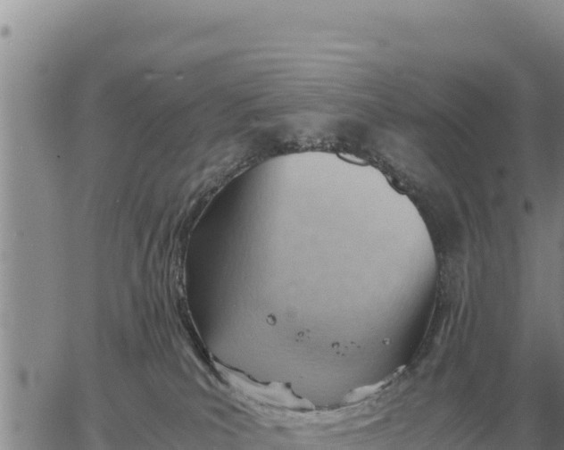 X0000061110039200512091828