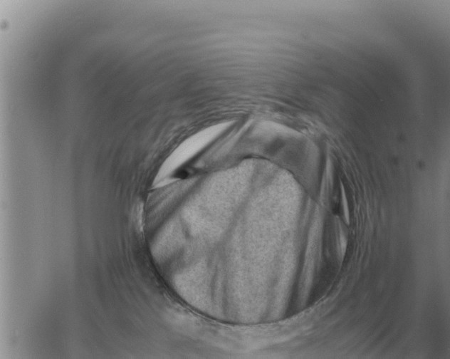 X0000061110041200512091828