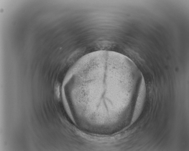 X0000061110042200512091828