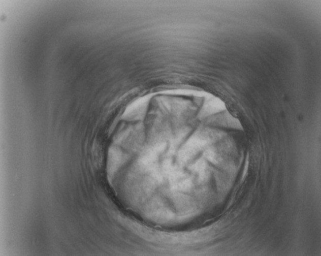 X0000061110043200512091828