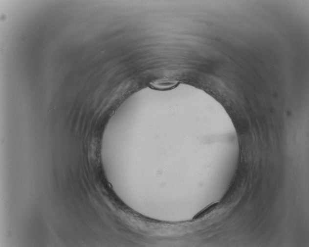 X0000061110044200512091828