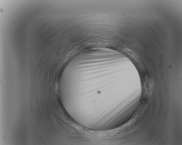 X0000061110045200512091828