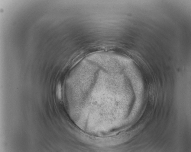 X0000061110046200512091828