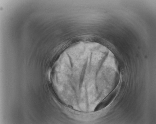 X0000061110047200512091828