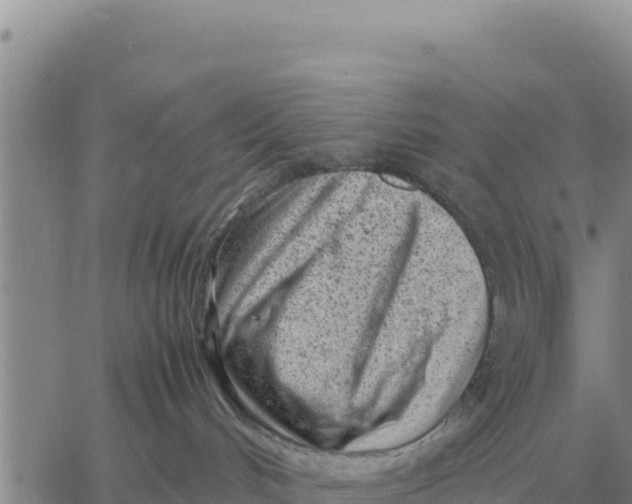 X0000061110048200512091828