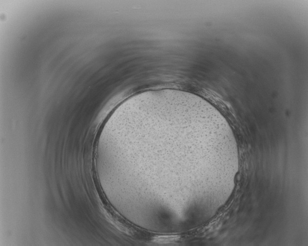 X0000061110051200512091827