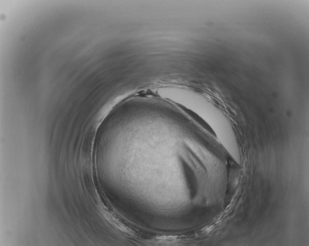 X0000061110052200512091827