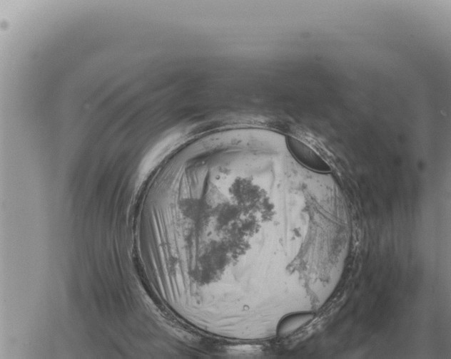 X0000061110053200512091827