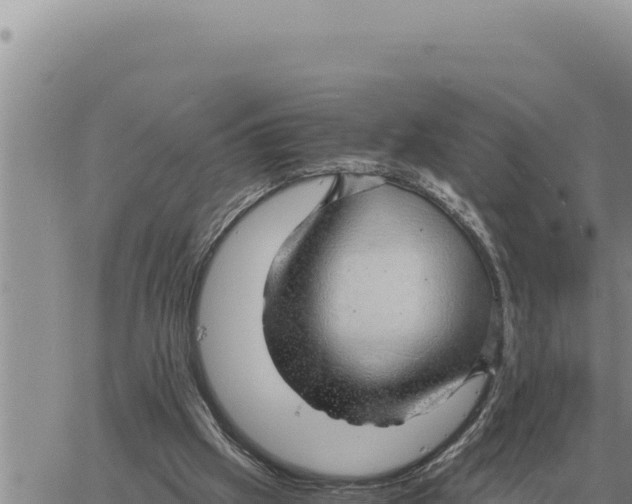 X0000061110057200512091827