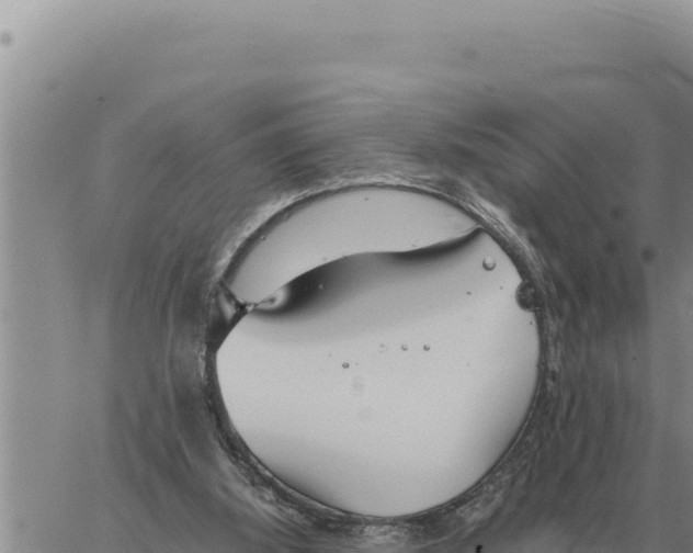 X0000061110060200512091827