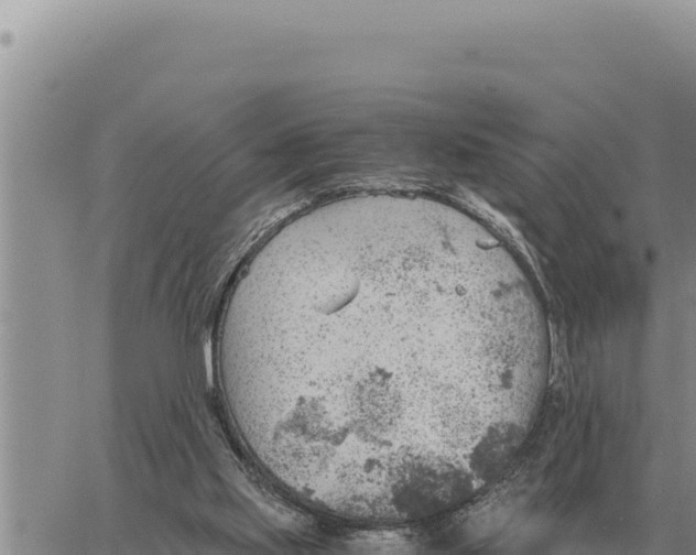 X0000061110061200512091827