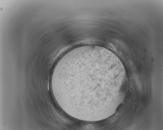 X0000061110062200512091828