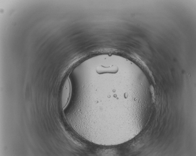 X0000061110063200512091828