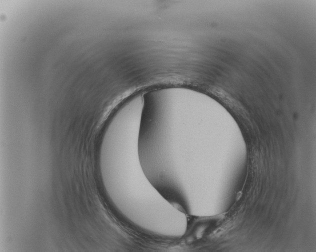 X0000061110064200512091828