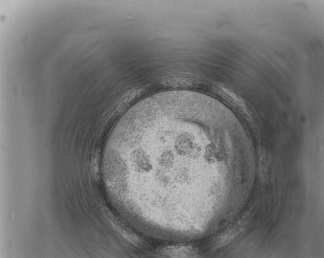 X0000061110065200512091828