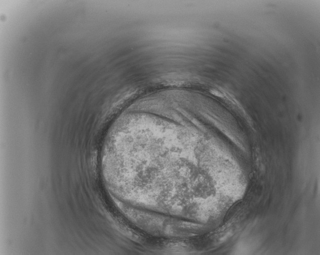 X0000061110066200512091828