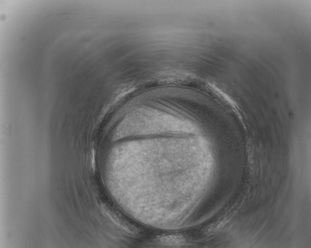 X0000061110067200512091828