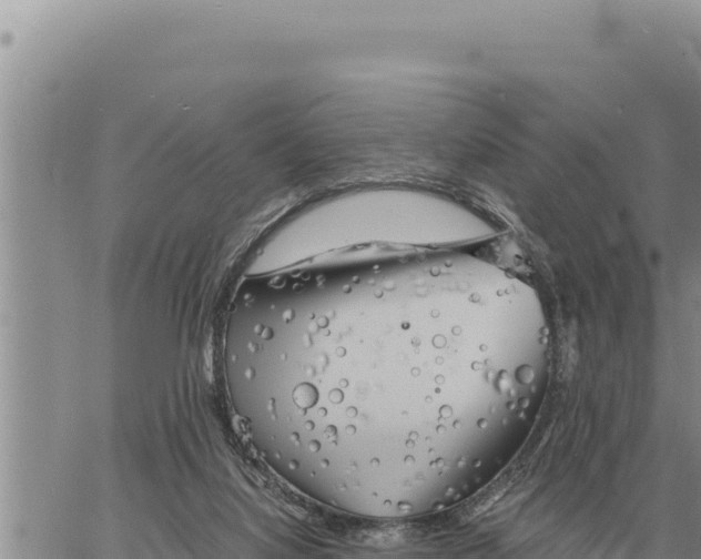 X0000061110068200512091828