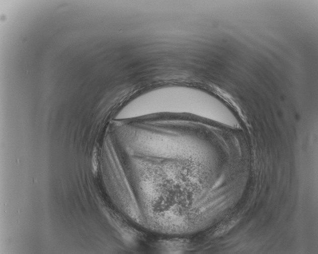 X0000061110069200512091828