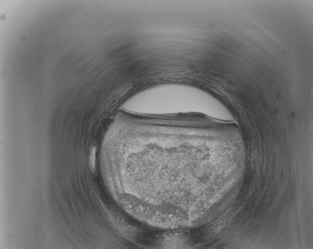 X0000061110070200512091828