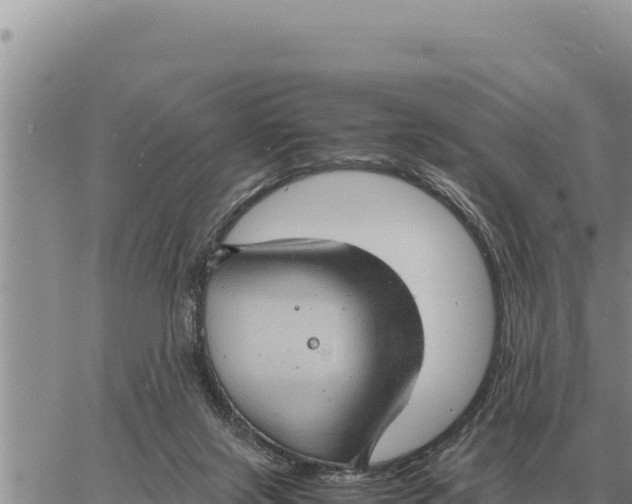 X0000061110071200512091828