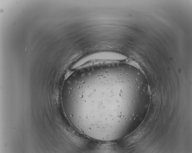 X0000061110072200512091828