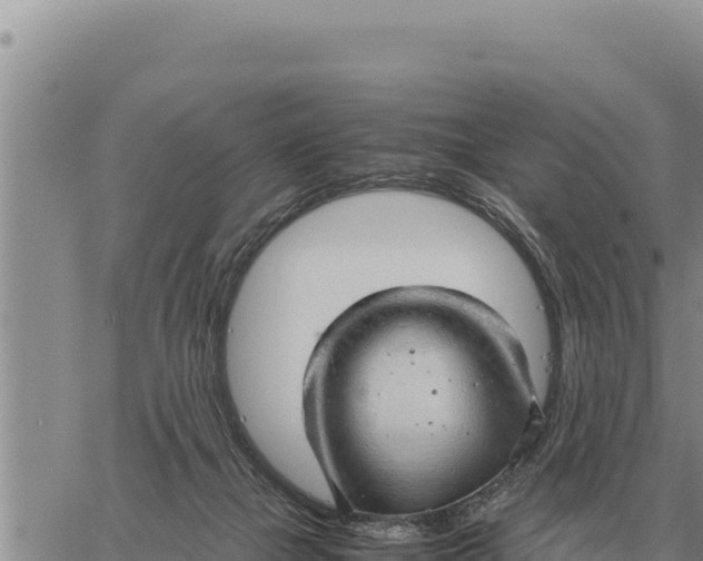 X0000061110073200512091828