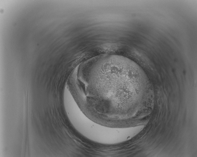 X0000061110075200512091828