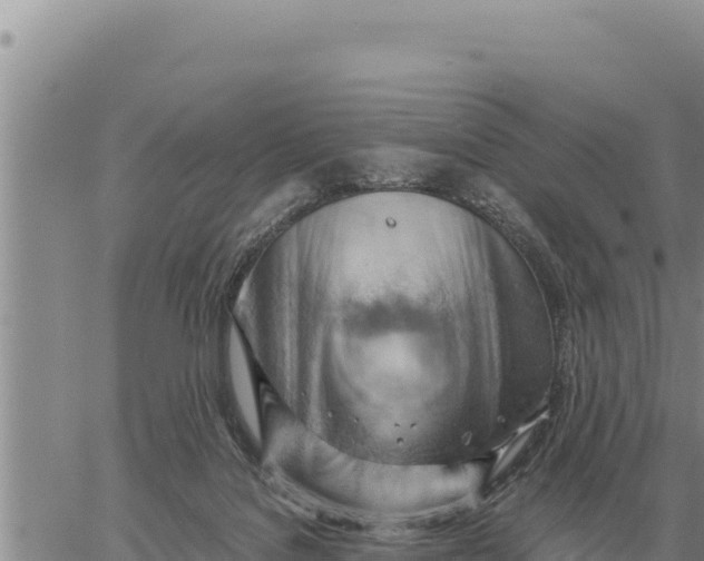 X0000061110076200512091828