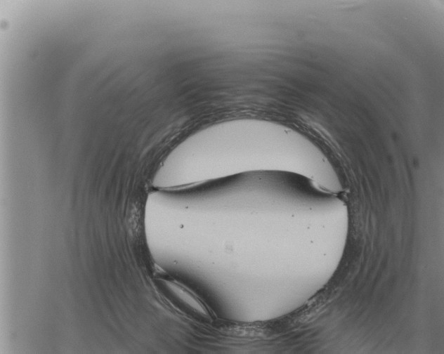 X0000061110077200512091828