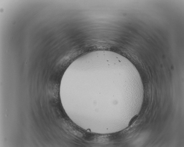 X0000061110078200512091828