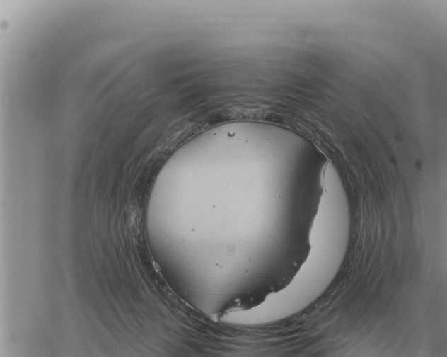 X0000061110079200512091828