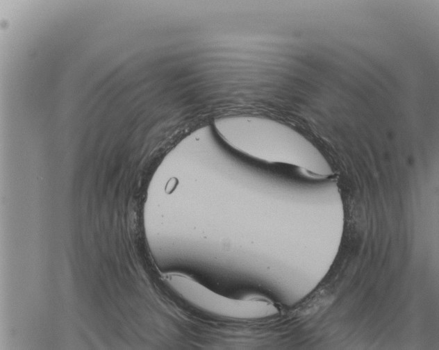 X0000061110080200512091828