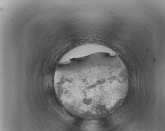 X0000061110081200512091828