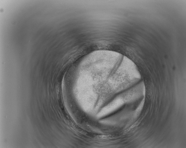 X0000061110082200512091828